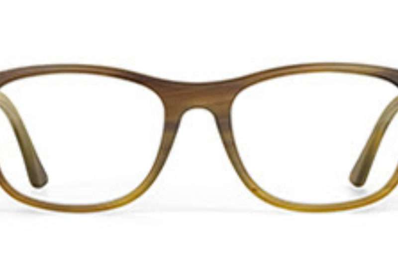 Hoffman eyewear frames London